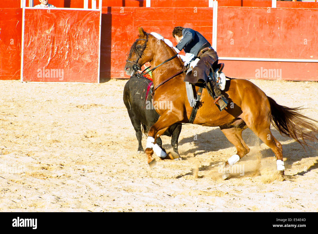 Corrida à cheval. Corrida espagnole typique. Banque D'Images