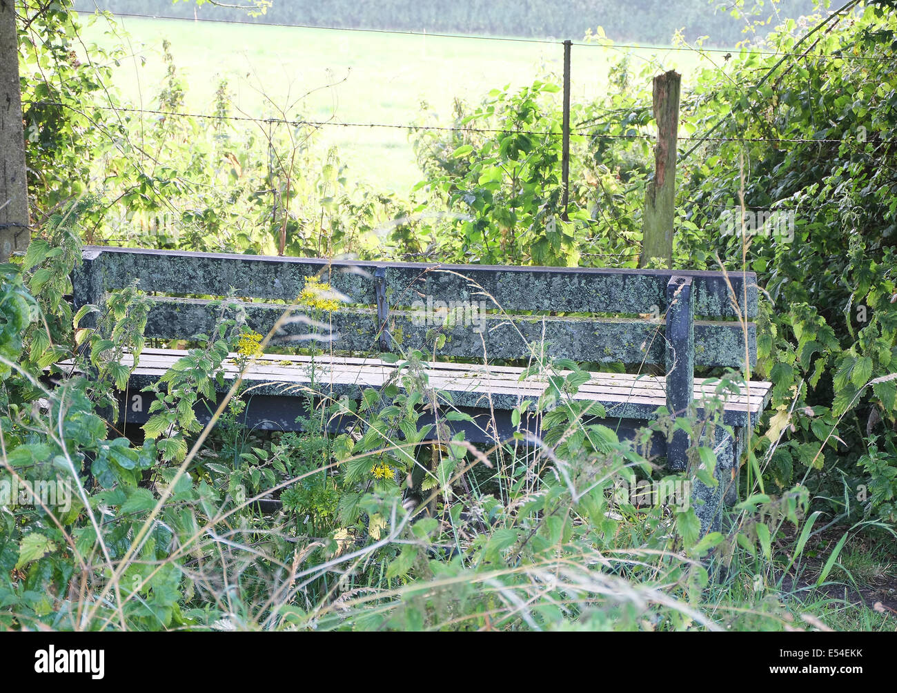 Plus de banquette cultivés sur la campagne du Somerset, le 20 juillet 2014 Banque D'Images