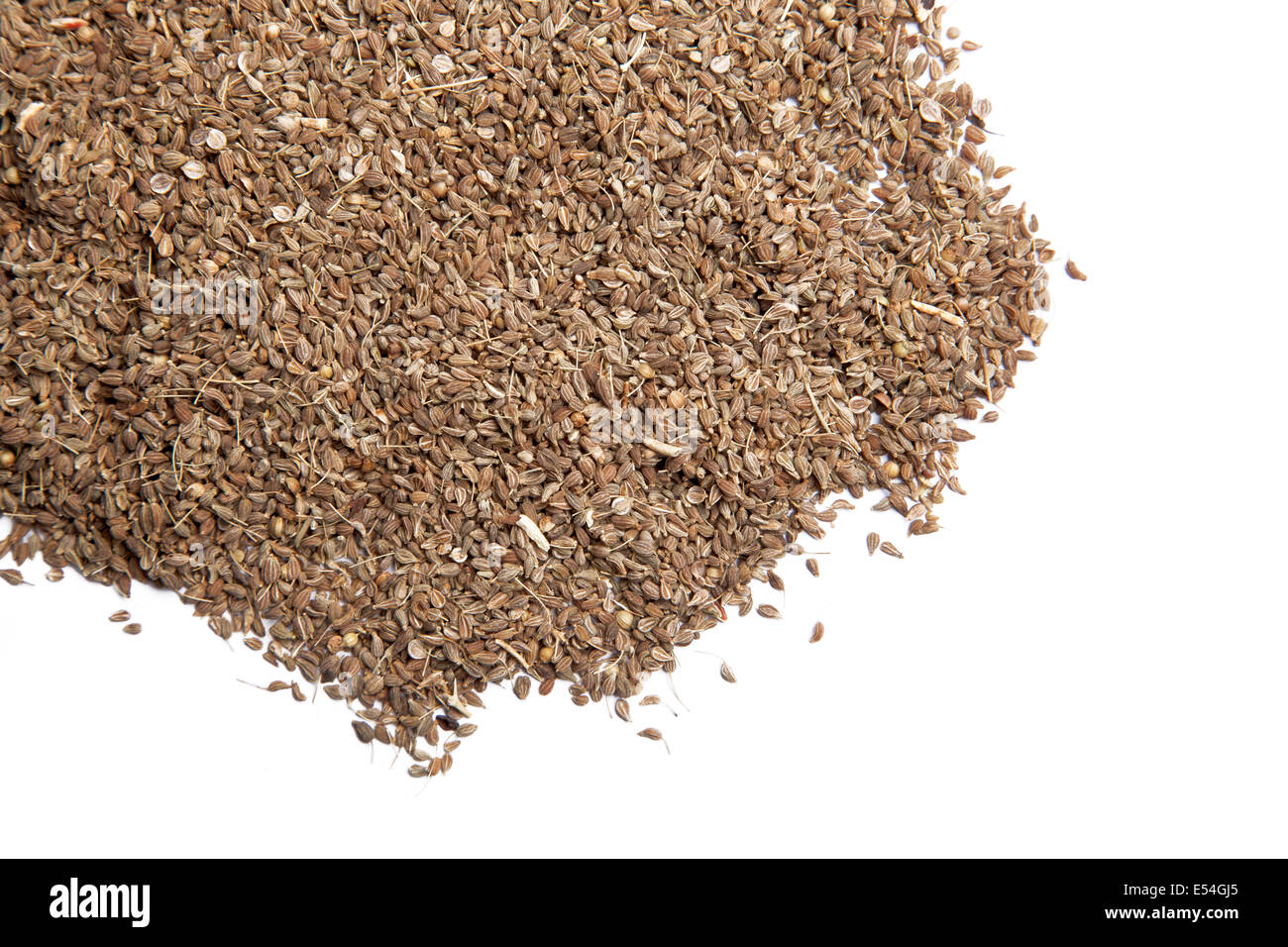 Le thé de fenouil - un tas de graines de fenouil isolé sur fond blanc Banque D'Images