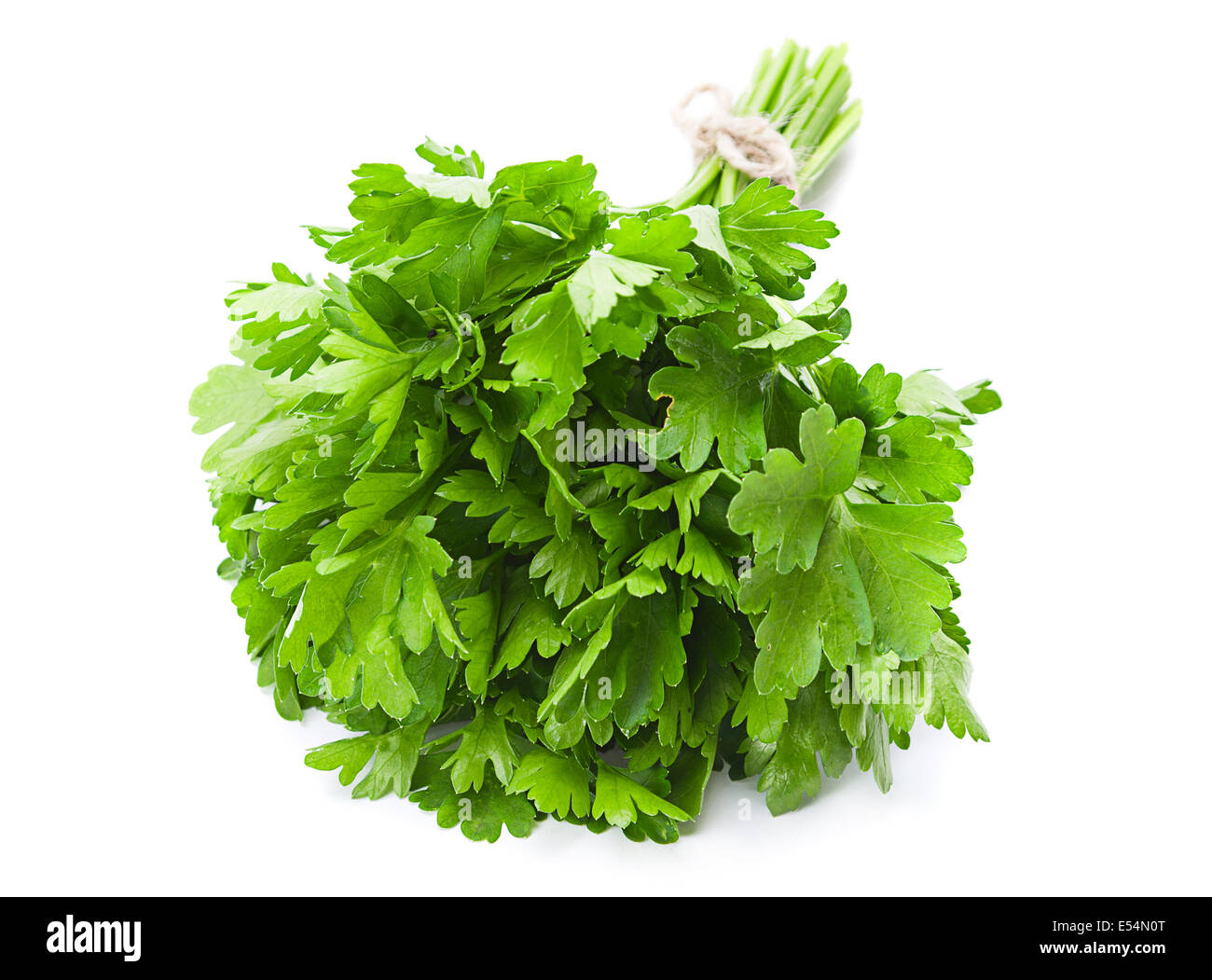 Le persil herbe aromatique isolated on white Banque D'Images