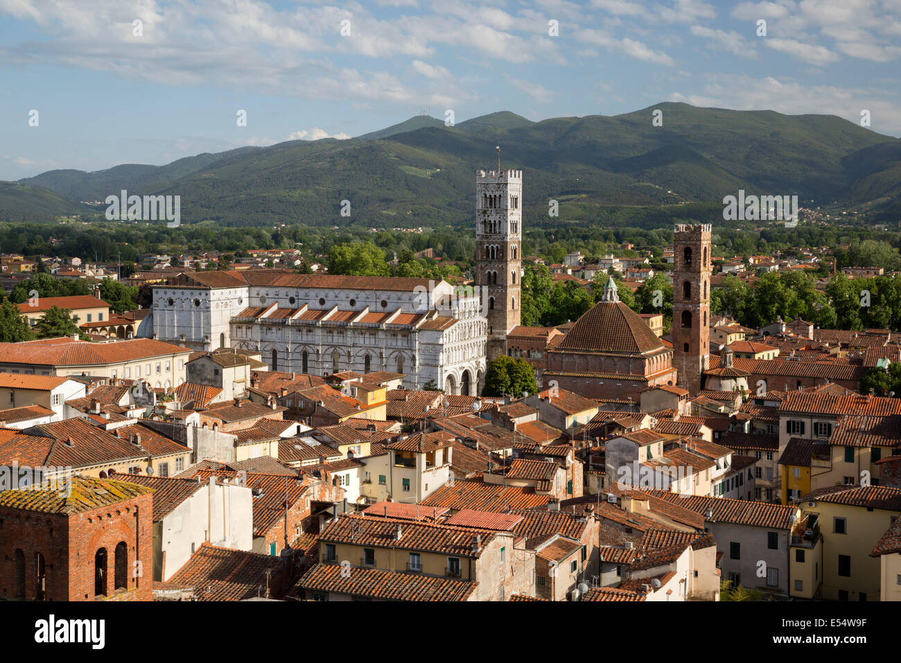 Vue sur Ville de Torre Guinigi à Duomo di San Martino de Lucques, Toscane, Italie, Europe Banque D'Images