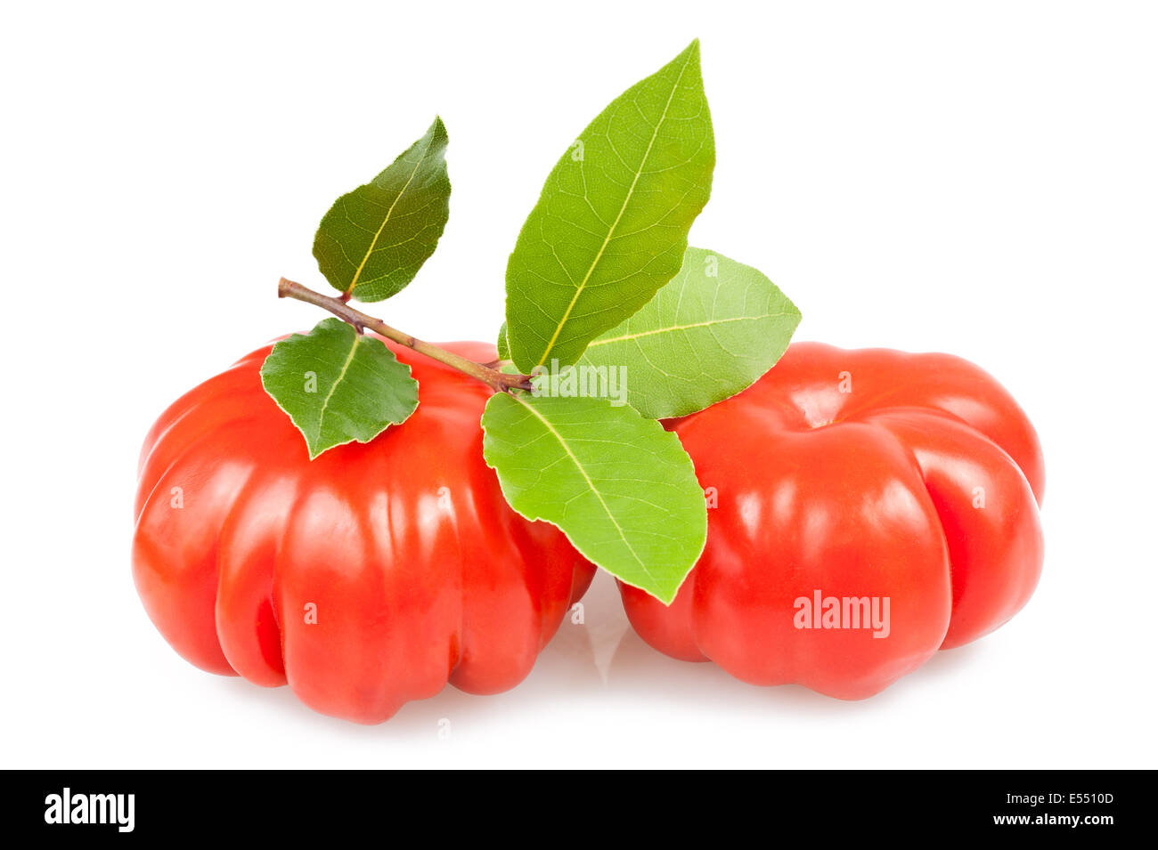 Les tomates et laurel isolated on white Banque D'Images