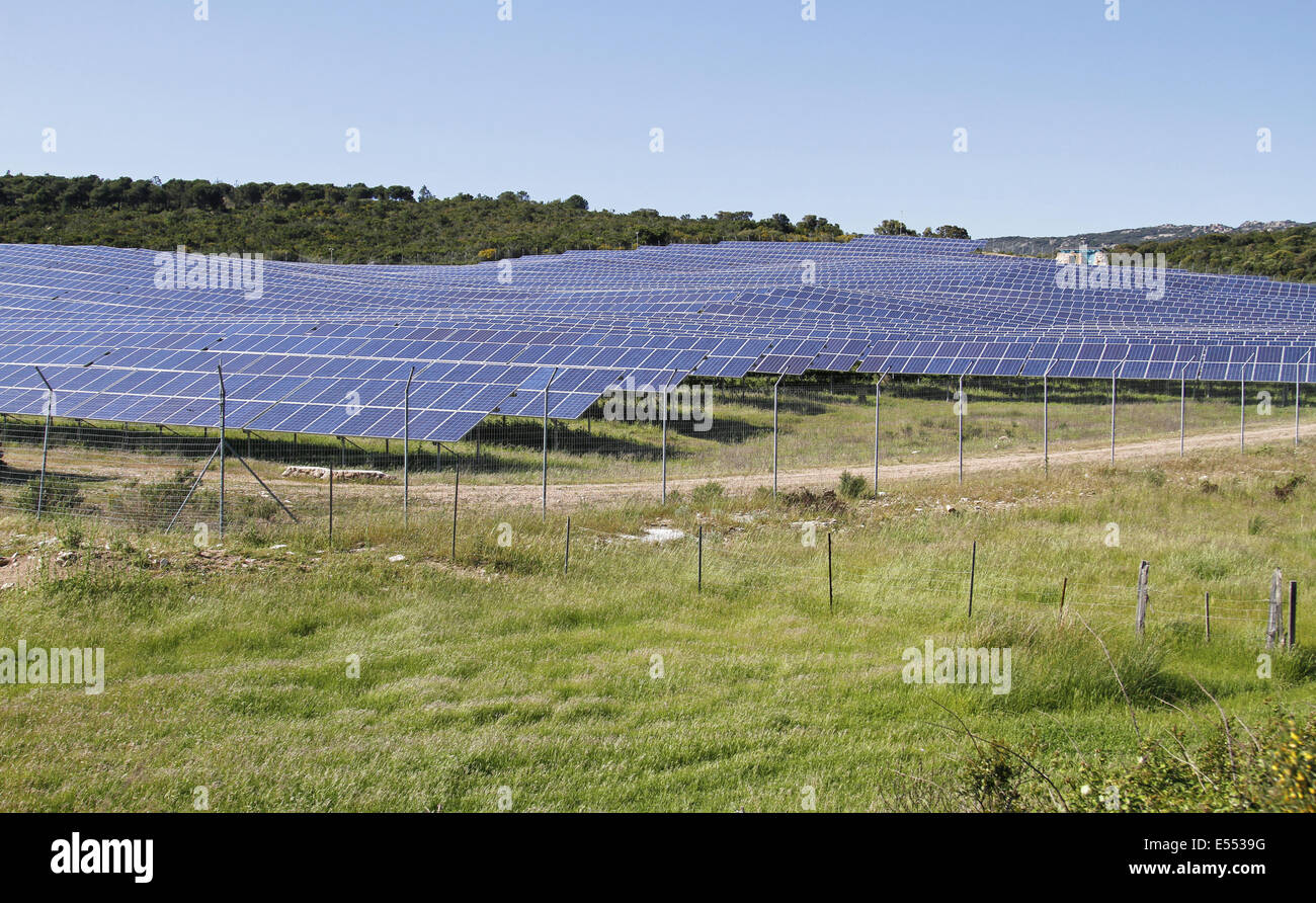 Des panneaux solaires sur la ferme solaire en champ ouvert, près de Bonifacio, Corse, France, Avril Banque D'Images