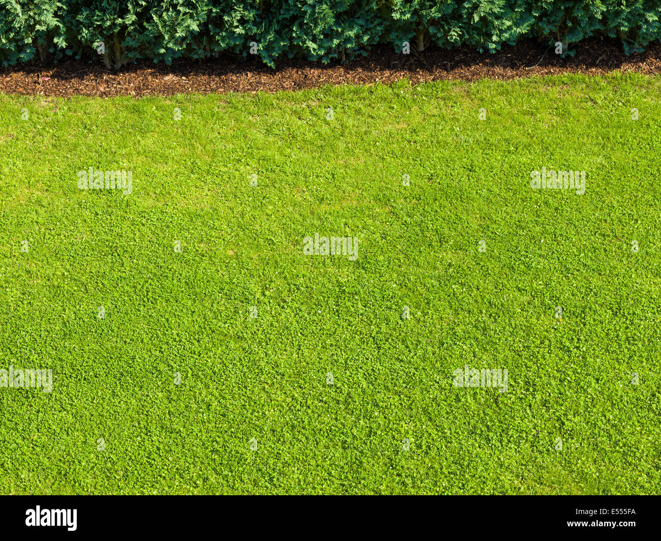 Gazon vert Green grass garden nice bon lumineux parfait bien formés green fee golf riche bio Banque D'Images