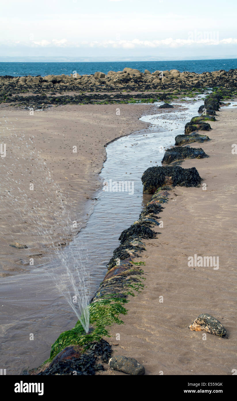 Une rafale d'eau sale de pulvérisation tuyau des déchets sur une plage. Banque D'Images