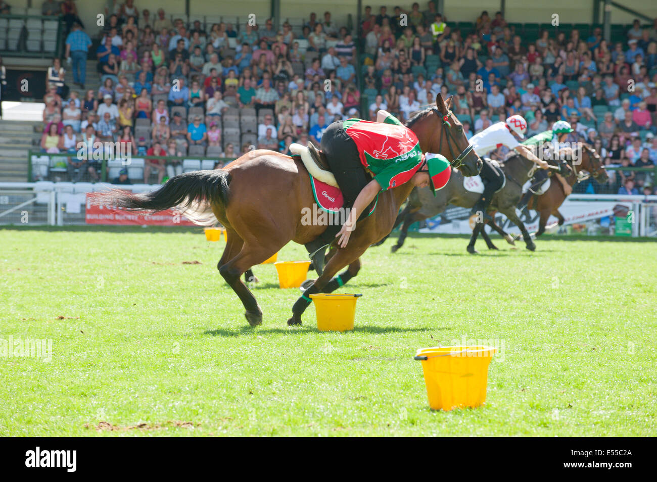 Llanelwedd, UK. 21 juillet 2014. Le Royal Welsh Canada Games prend place dans le Ring. Un nombre record de visiteurs de plus de 240 000 sont attendus cette semaine au cours des quatre jours de l'Europe, plus grand salon de l'agriculture. Classes de bétail et prix spéciaux ont attiré plus de 8 000 entrées, 670 de plus que l'année dernière. Le tout premier Royal Welsh Show était à Aberystwyth en 1904 et a attiré 442 entrées de l'élevage. Credit : Graham M. Lawrence/Alamy Live News. Banque D'Images