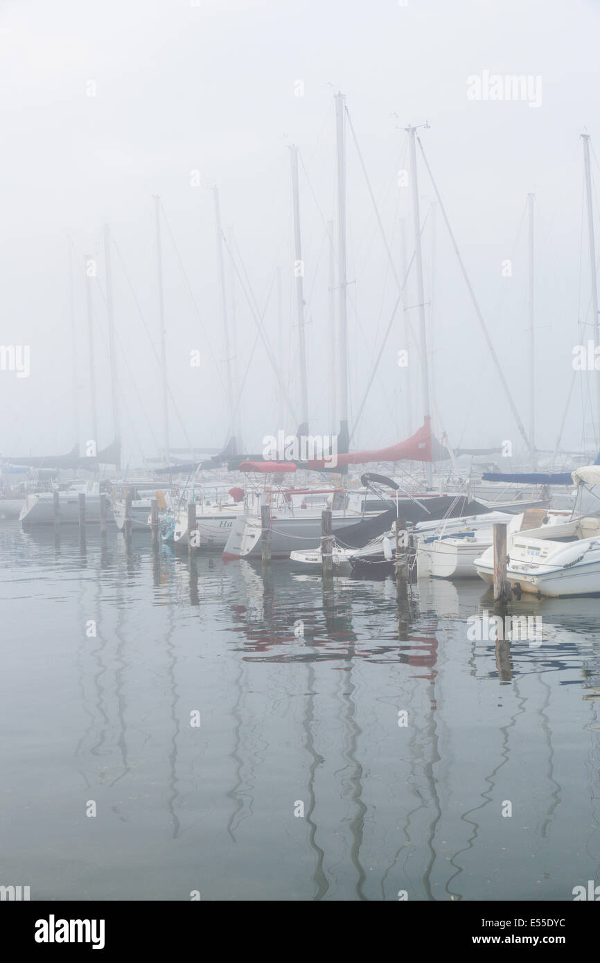 Brouillard sur port et marina sur Seneca Lake dans la région de Watkins Glen New York dans la région des lacs Finger de New York Banque D'Images