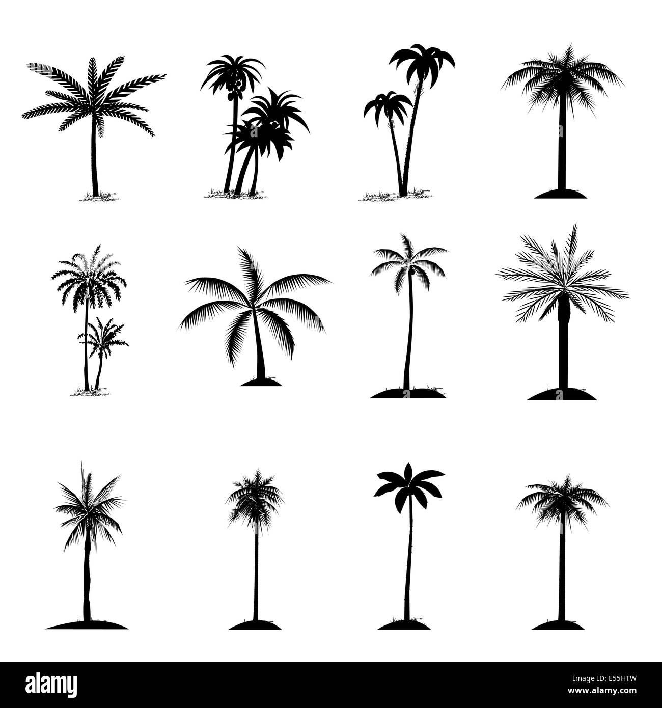 Plam tree ensemble Banque D'Images Plam tree ensemble Banque D'Images