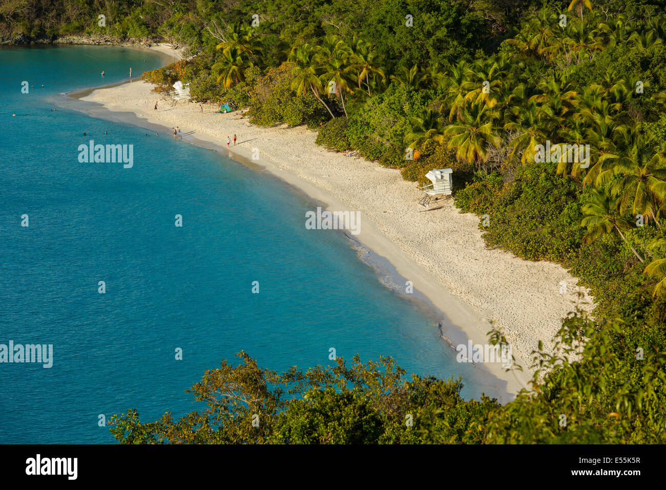 Trunk Bay et plage sur l'île des Caraïbes de St John dans les îles Vierges américaines Banque D'Images