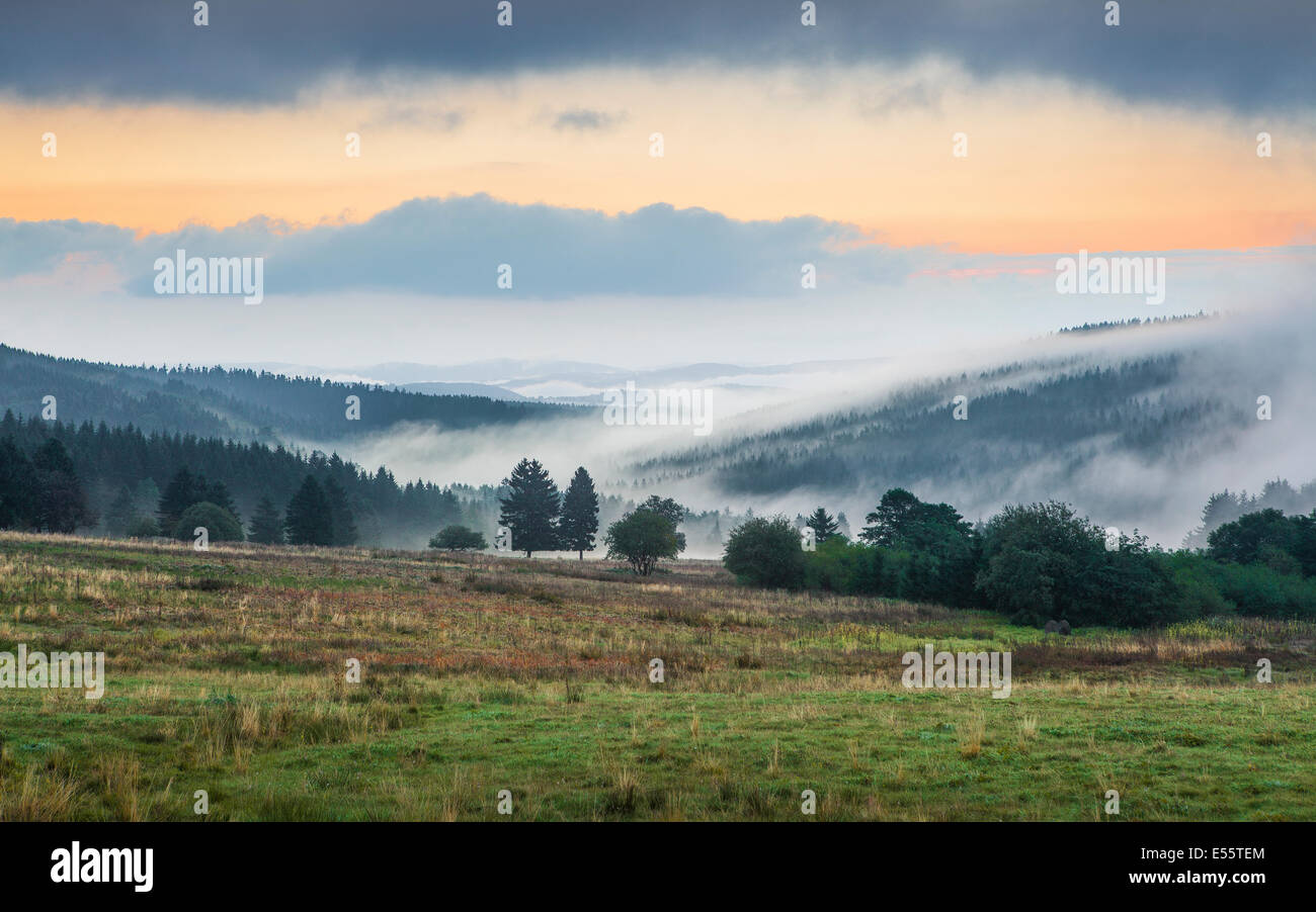 Neustadt Am Rennsteig, forêt de Thuringe, Allemagne Banque D'Images