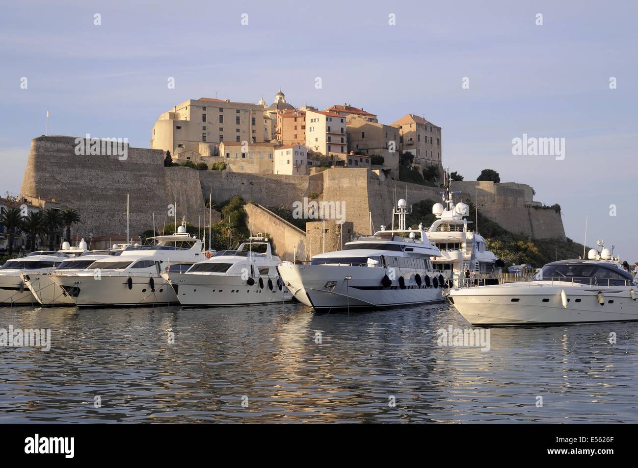 Calvi, Corse, France, le port et le 15e siècle citadelle génoise Banque D'Images