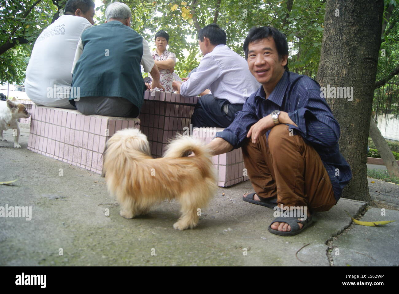 Un homme et son chien Banque D'Images