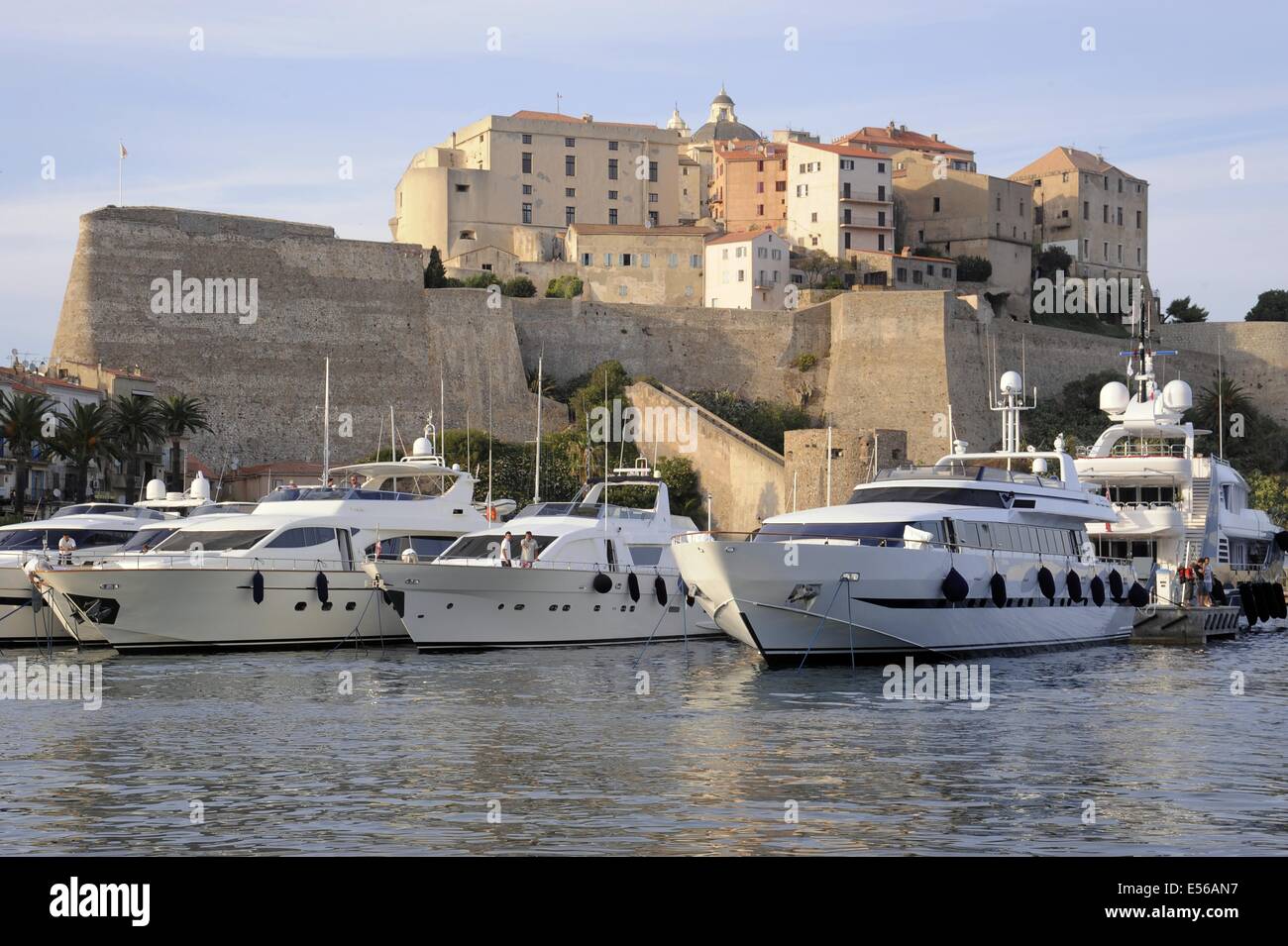 Calvi, Corse, France, le port et le 15e siècle citadelle génoise Banque D'Images