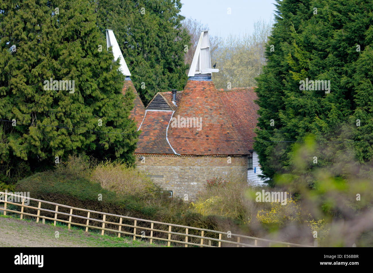 Village lâche, près de Maidstone, Kent, Angleterre. Maisons Oast (convertis en maisons) Banque D'Images