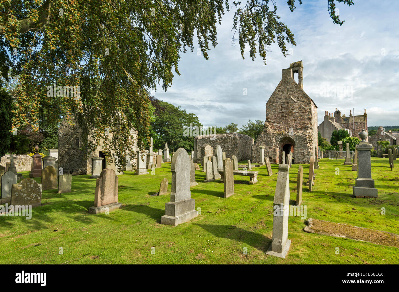 Ancienne église et cimetière de FORDYCE UN BEECH TREE ABERDEENSHIRE ECOSSE Banque D'Images