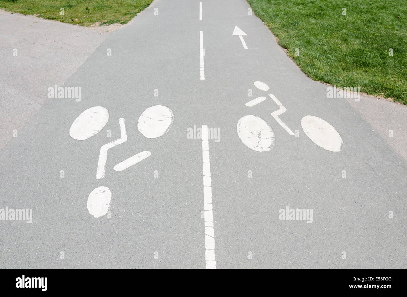Symboles directionnels vélo peint sur une piste cyclable à double sens Banque D'Images