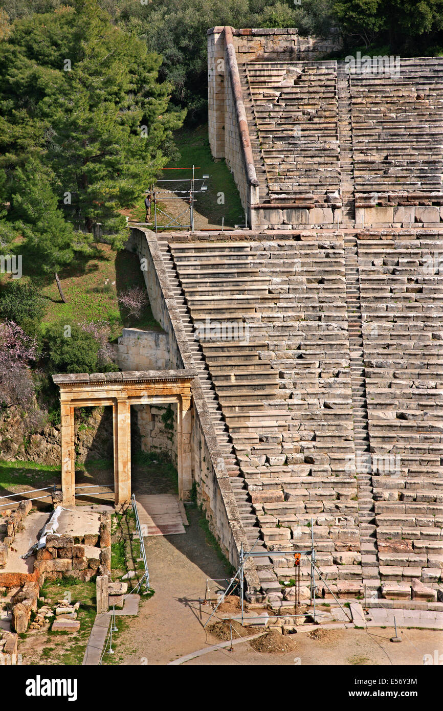 Le théâtre antique d'Épidaure (Epidaure), Argolide (Argolide), Péloponnèse, Grèce. Banque D'Images