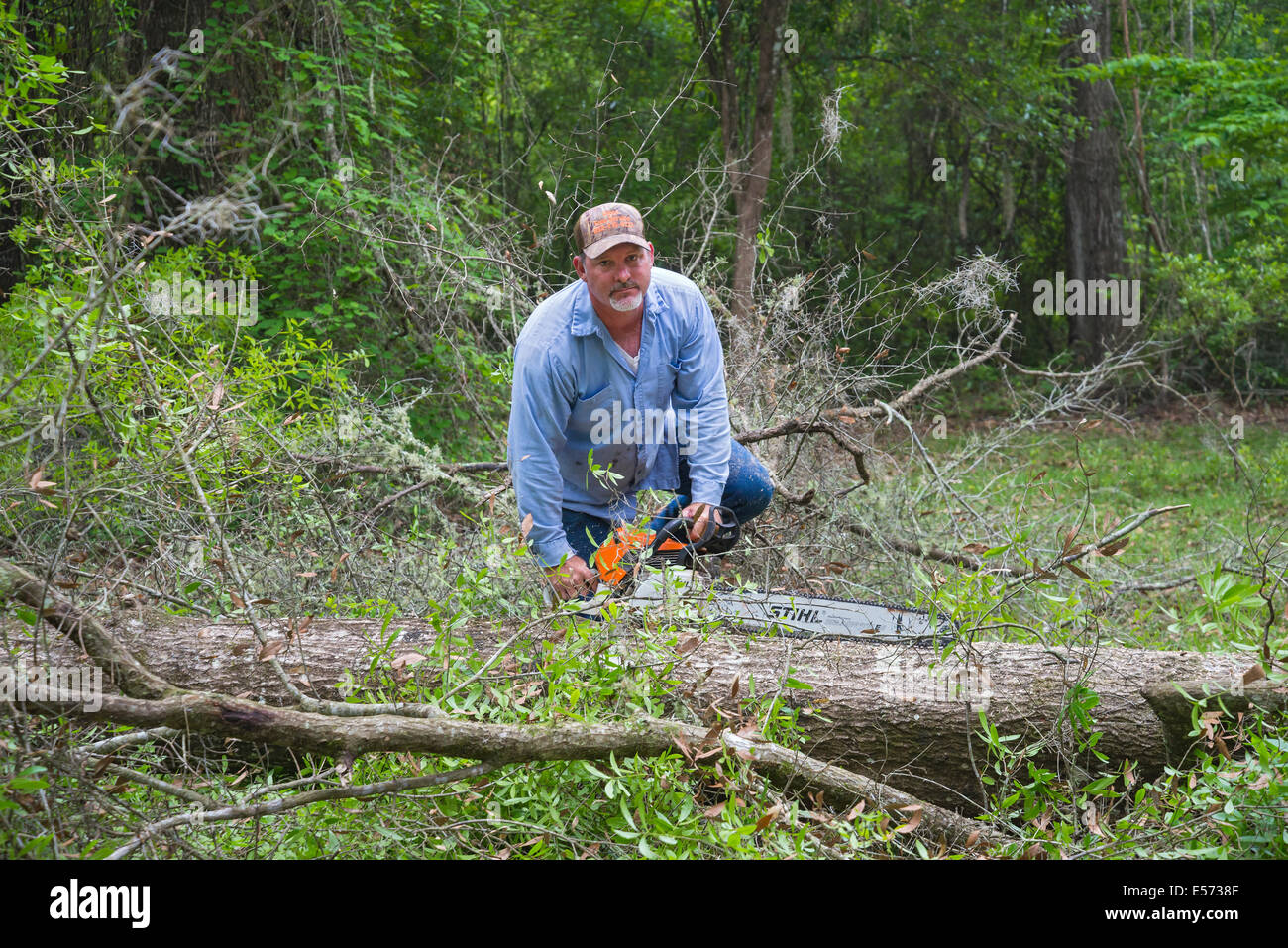 Enlèvement d'un arbre à l'intérieur rural dans le Nord de la Floride. Banque D'Images
