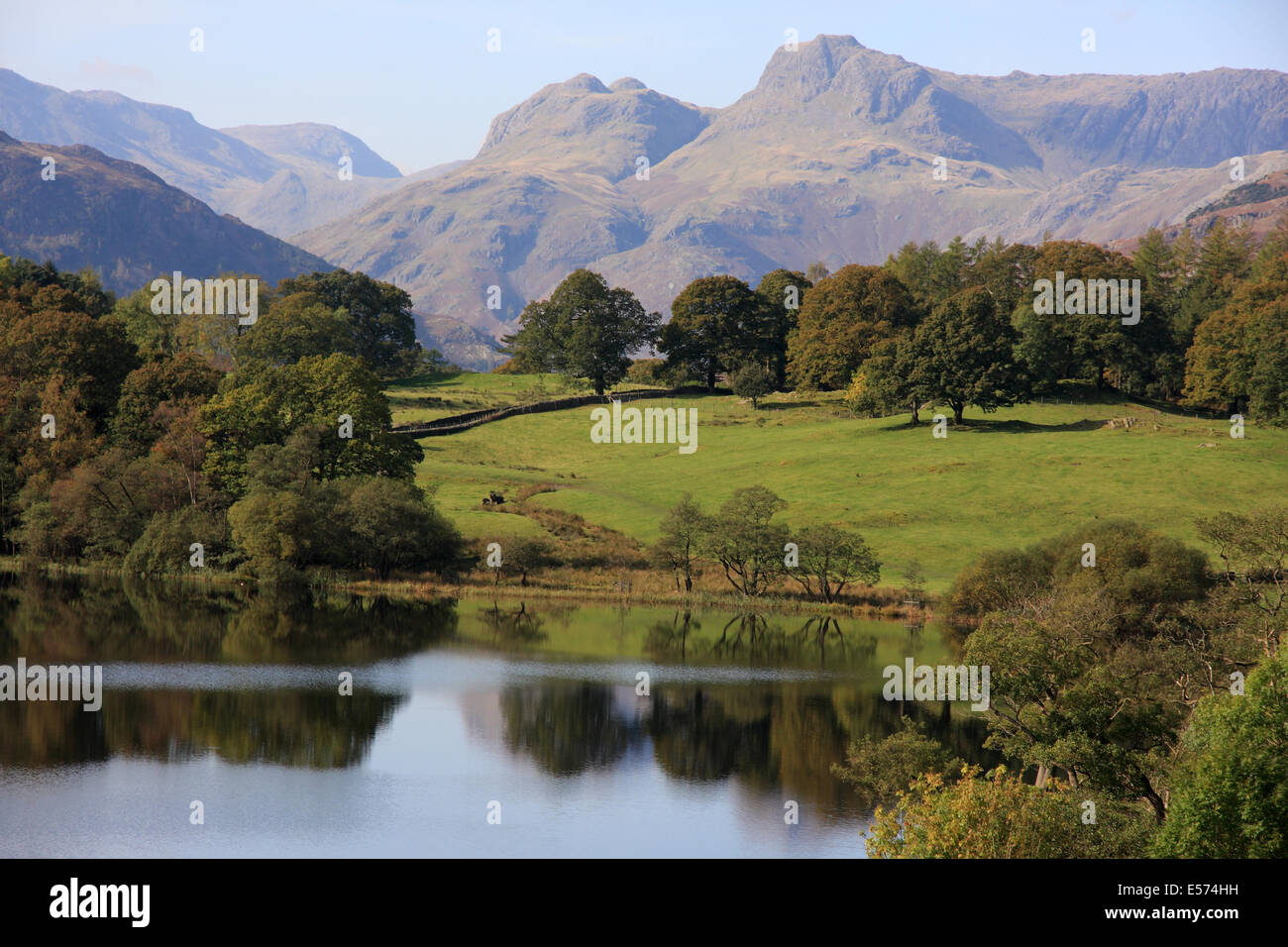 Loughrigg Tarn et les Langdale Pikes en automne dans le Lake District Banque D'Images