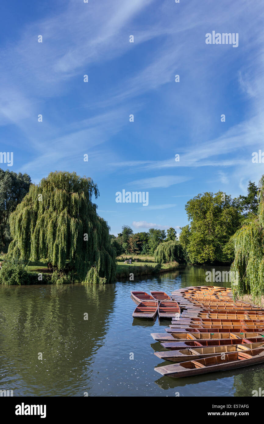 Plates amarré sur la rivière Cam, Cambridge, Royaume-Uni Banque D'Images