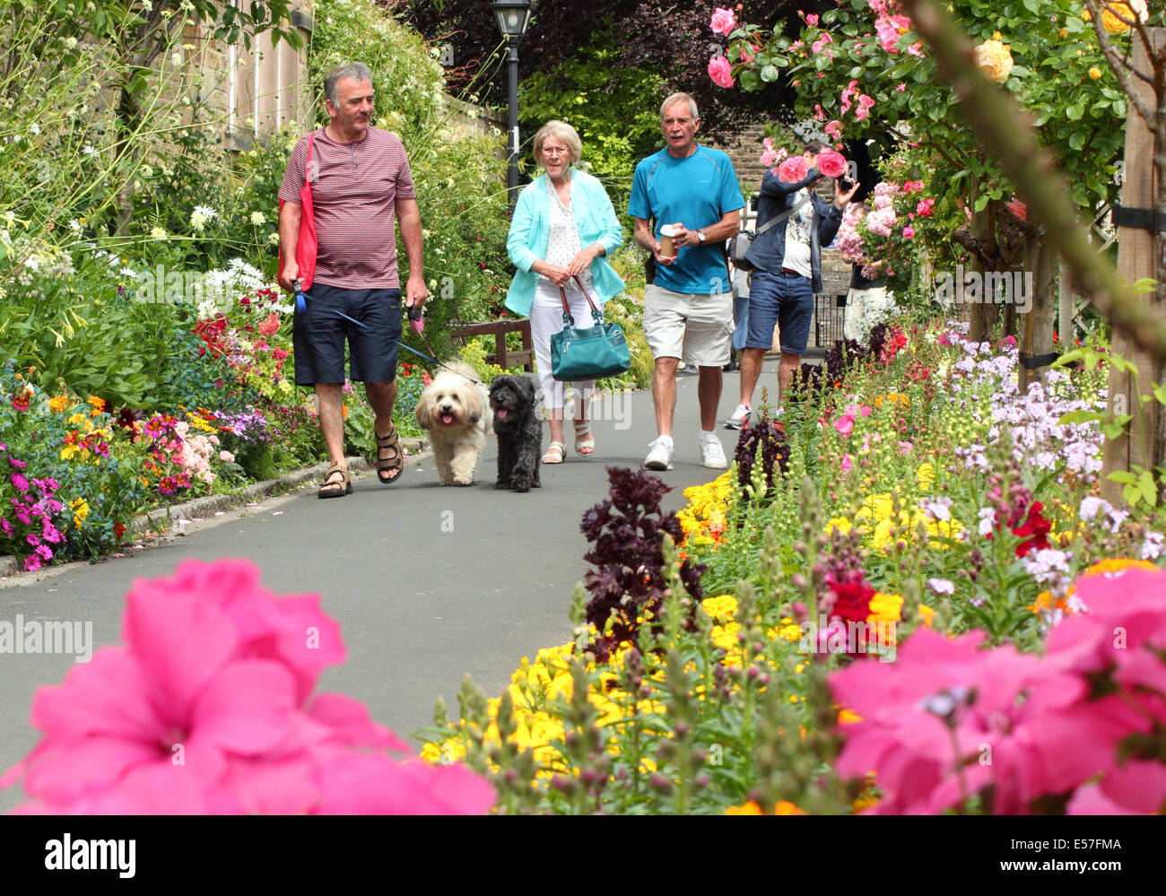 Parterres de fleurs en pleine floraison à la Bath Jardins en Bakewell, une jolie petite ville dans le parc national de Peak District, Derbyshire, Royaume-Uni Banque D'Images
