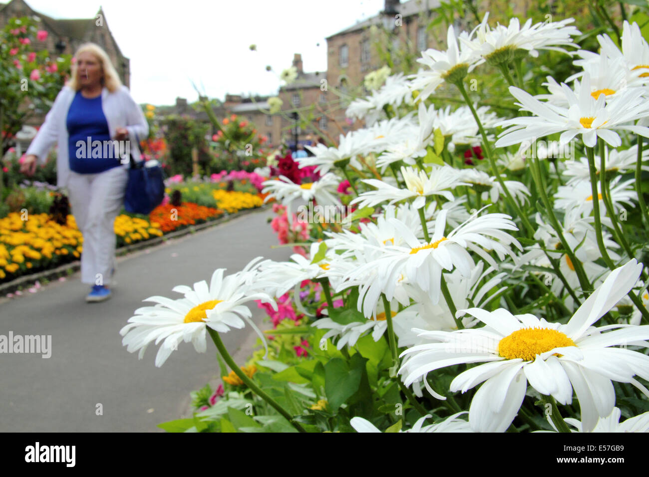 Les frontières de l'été en pleine floraison à la Bath Jardins en Bakewell, une jolie petite ville dans le parc national de Peak District, Derbyshire, Royaume-Uni Banque D'Images