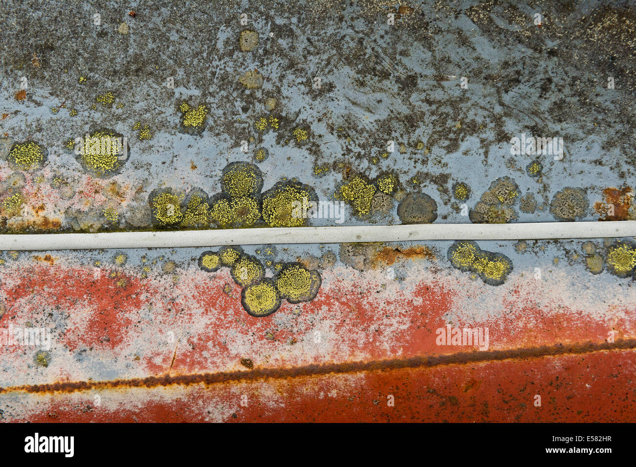 La rouille et le lichen sur caisse de wagon, Kyrkö Mosse junkyard, Ryd, Templin, comté de Kronoberg, Suède Banque D'Images