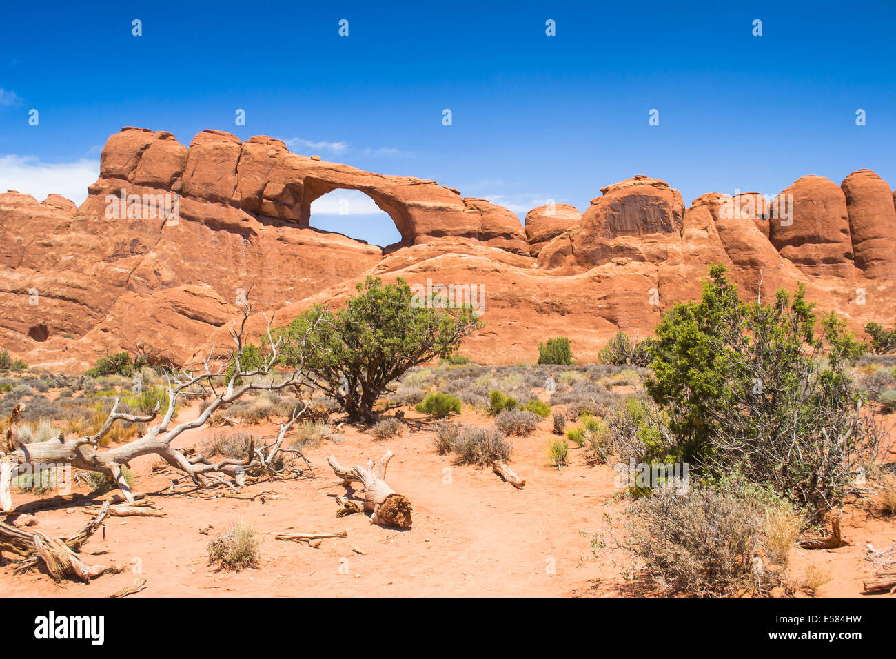 Arches national parck,Utah, USA-Août 9,2012:vue du panorama avec une arche naturelle à l'intérieur à l'Arches national parck dans Uta Banque D'Images