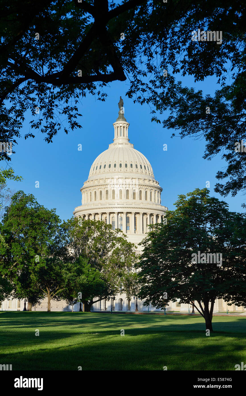Du Capitole des États-Unis, Washington D.C., États-Unis Banque D'Images