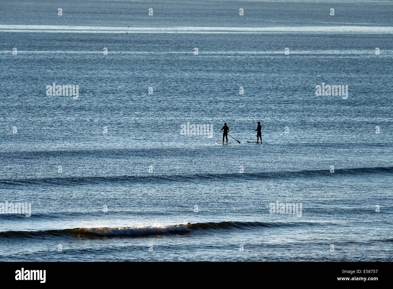 Surfers Paddle board en tête d'attraper une vague, Coast Guard Beach, Cape Cod, Massachusetts, USA Banque D'Images