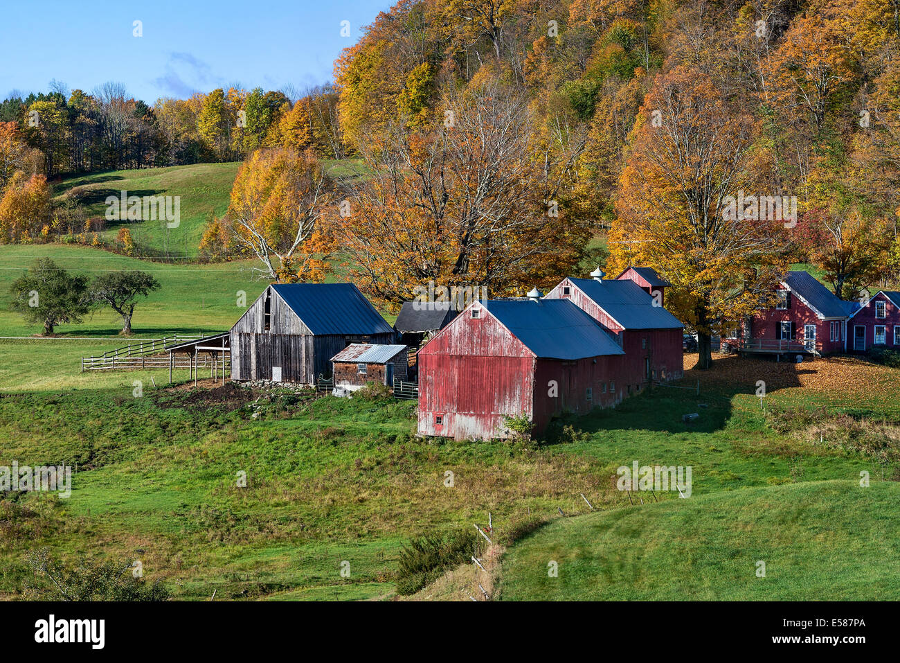 La ferme aux couleurs automnales, lecture, Vermont, Etats-Unis Banque D'Images