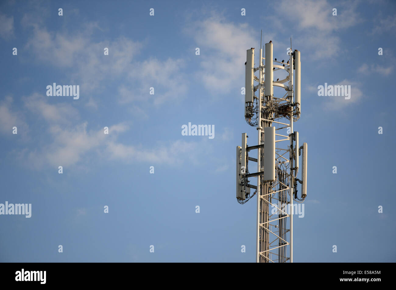 Téléphone mobile antenne mât Banque D'Images