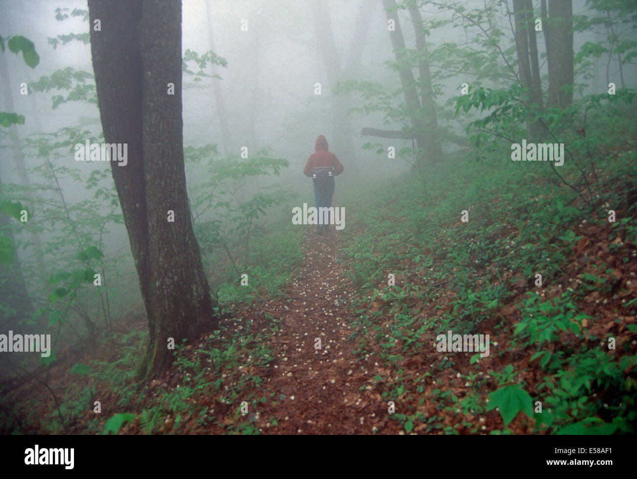 Un randonneur dans le brouillard,Espagne,Texas Banque D'Images