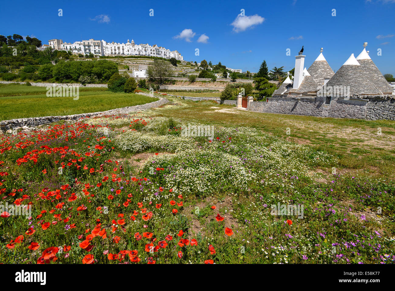 Italie Puglia Puglia Vallée d'Itria Paysage Locorotondo Banque D'Images