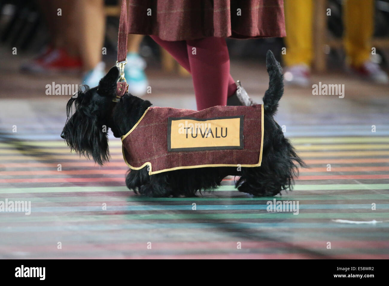 Glasgow en Écosse le 23 juil 2014. Cérémonie d'ouverture des 20e Jeux du Commonwealth à Glasgow au Celtic Park. Scottish Terrier mener des athlètes dans le stade. Credit : ALAN OLIVER/Alamy Live News Banque D'Images