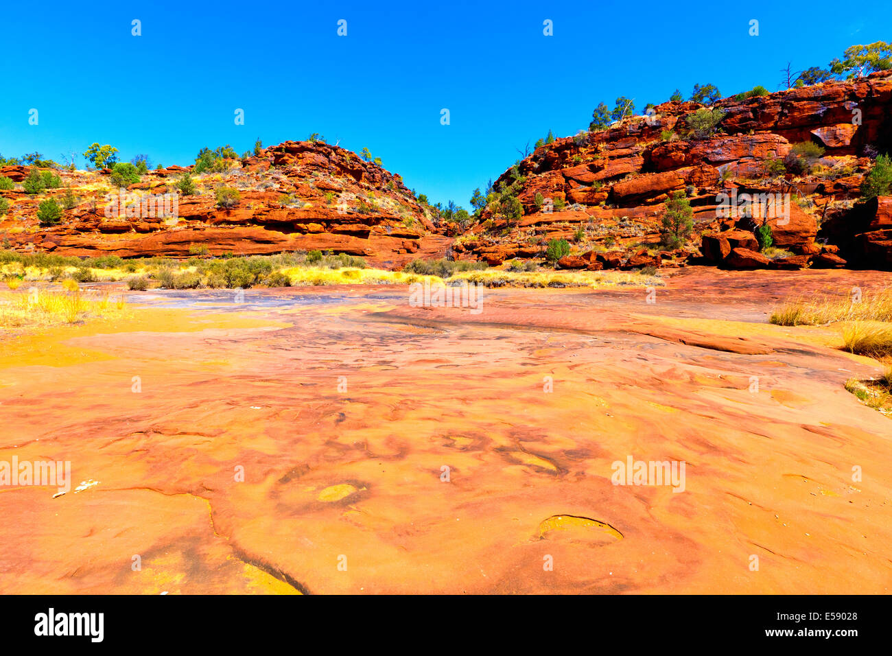 Palm Valley Centre de l'Australie Territoire du Nord Banque D'Images