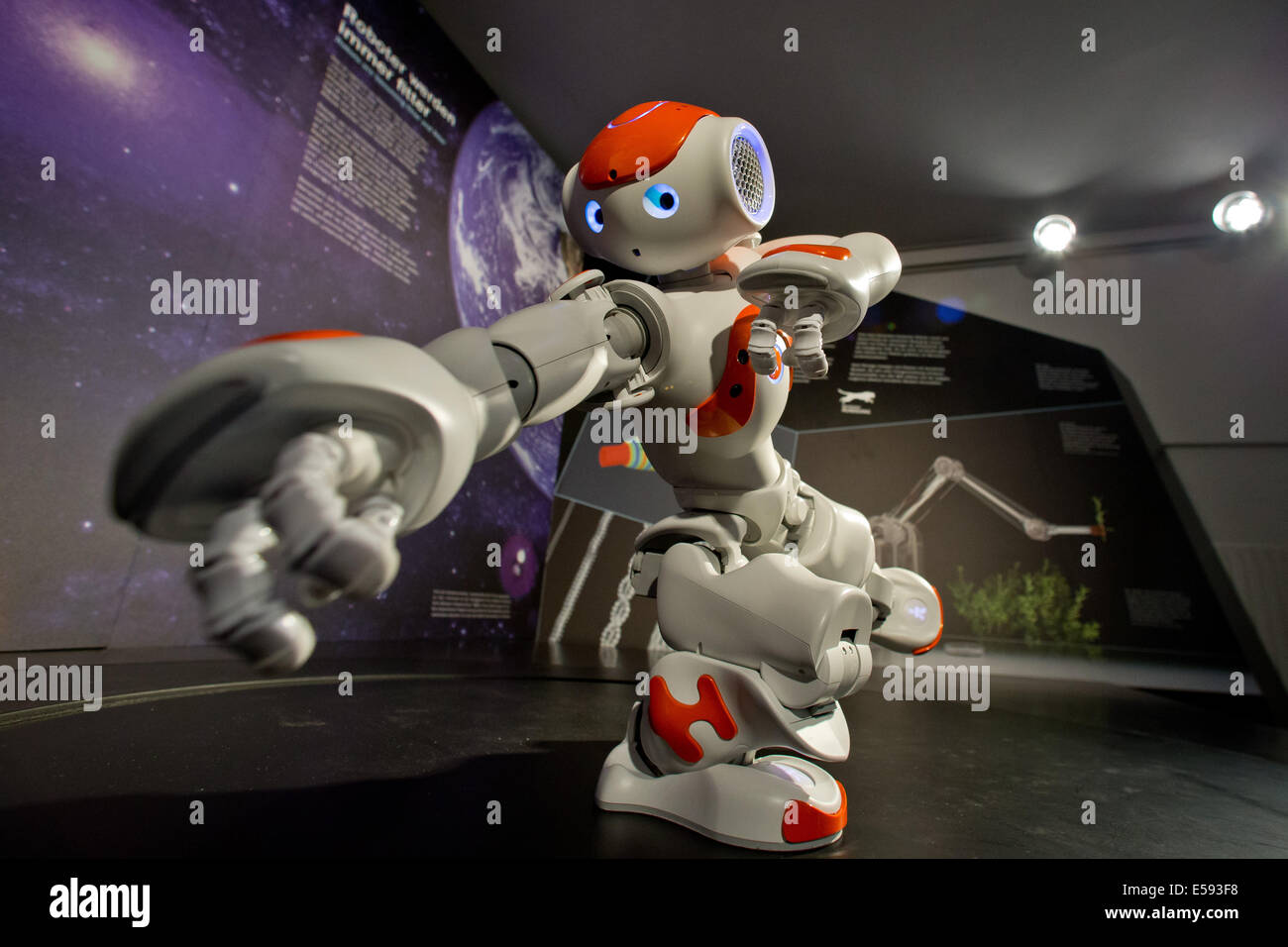 Nuremberg, Allemagne. 23 juillet, 2014. Le robot humanoïde Nao danse dans la nouvelle 'Bionicum» dans le Tiergarten à Nuremberg, Allemagne, 23 juillet 2014. Les scientifiques tentent de recréer artificiellement les muscles pour faire des robots plus légère et plus agile. Dans la nouvelle exposition permanente 'Bionicum" les visiteurs sont montré comment les ingénieurs sont souvent inspirés par la nature. Photo : Daniel Karmann/dpa/Alamy Live News Banque D'Images