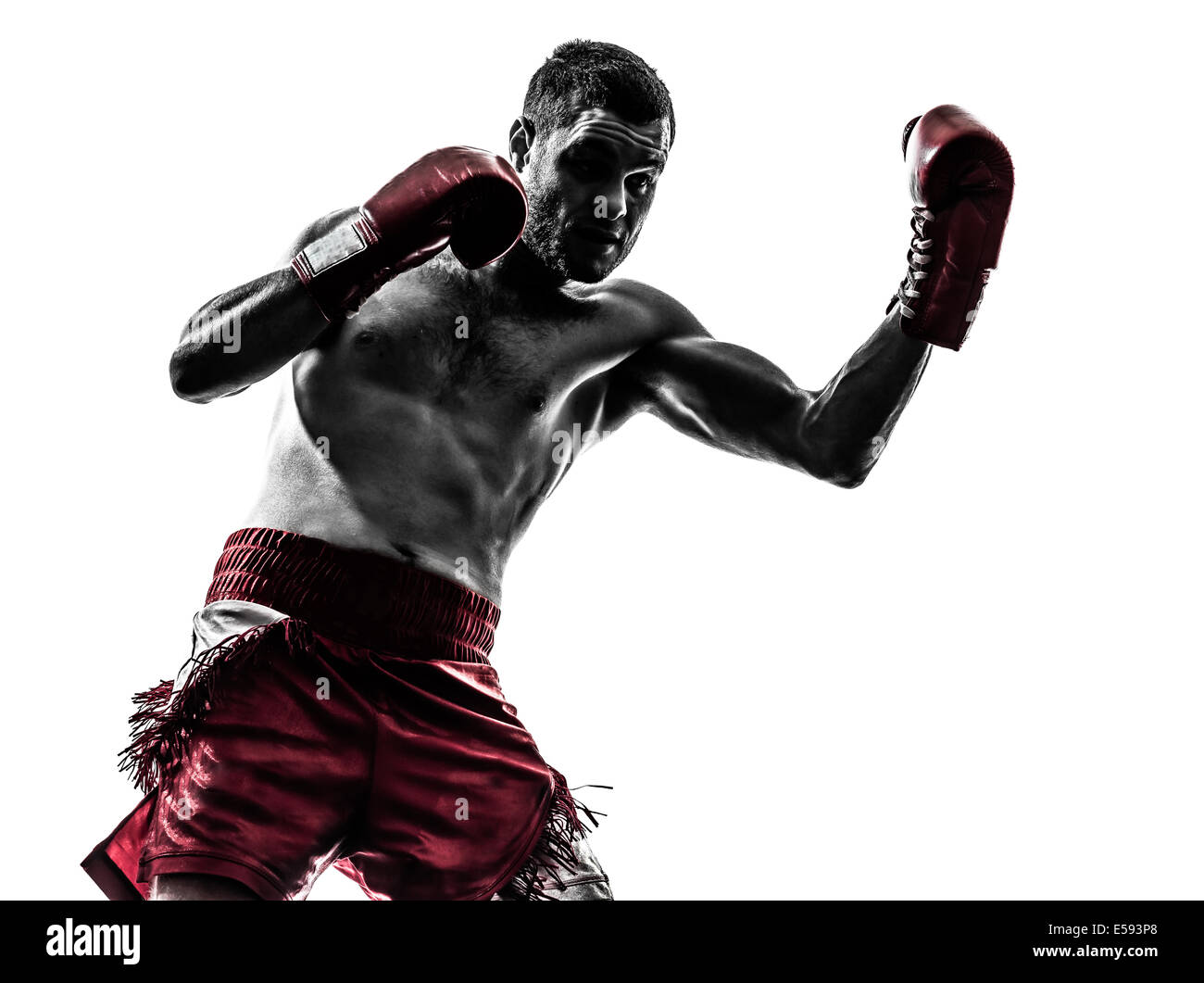 Un homme l'exercice de la boxe en silhouette studio sur fond blanc Banque D'Images