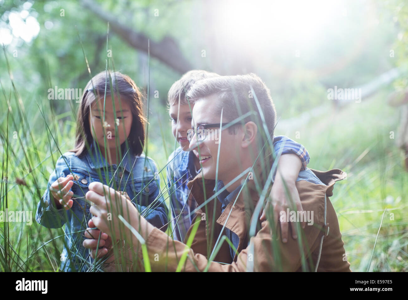 Les élèves et l'enseignant l'examen de l'herbe dans la forêt Banque D'Images