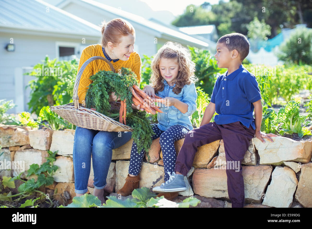 L'enseignant et les étudiants dans le jardin de légumes Banque D'Images