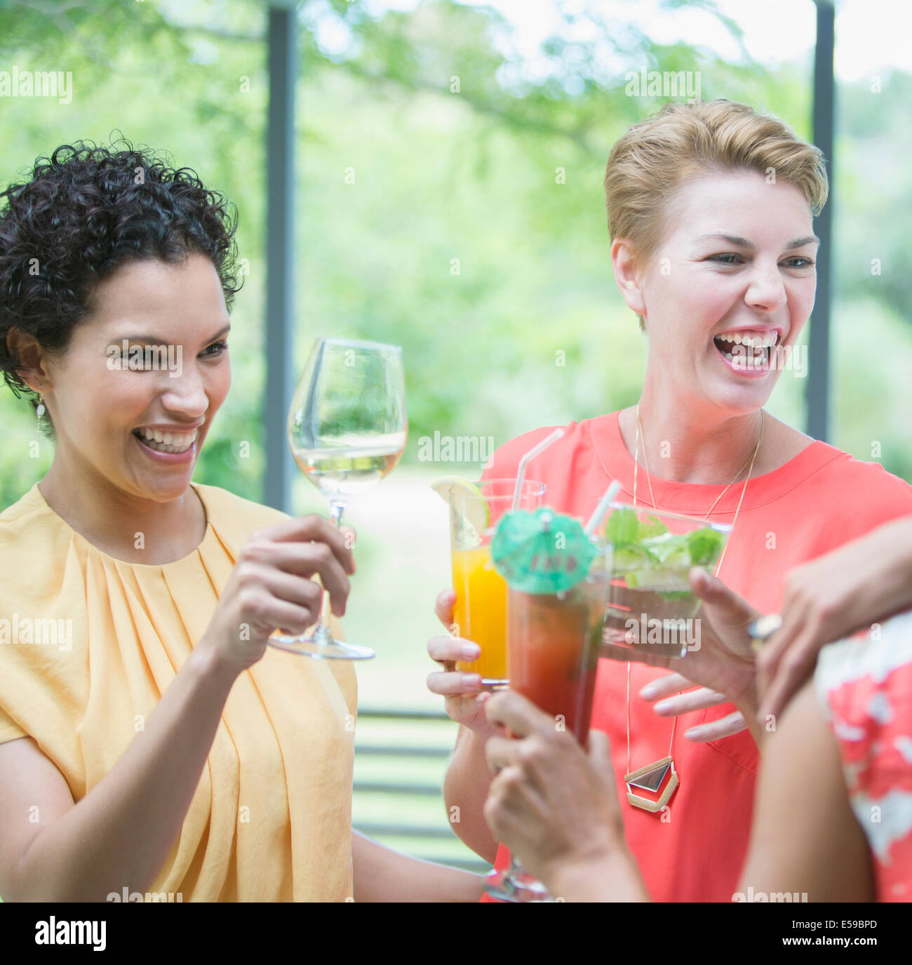 Women toasting each other at party Banque D'Images