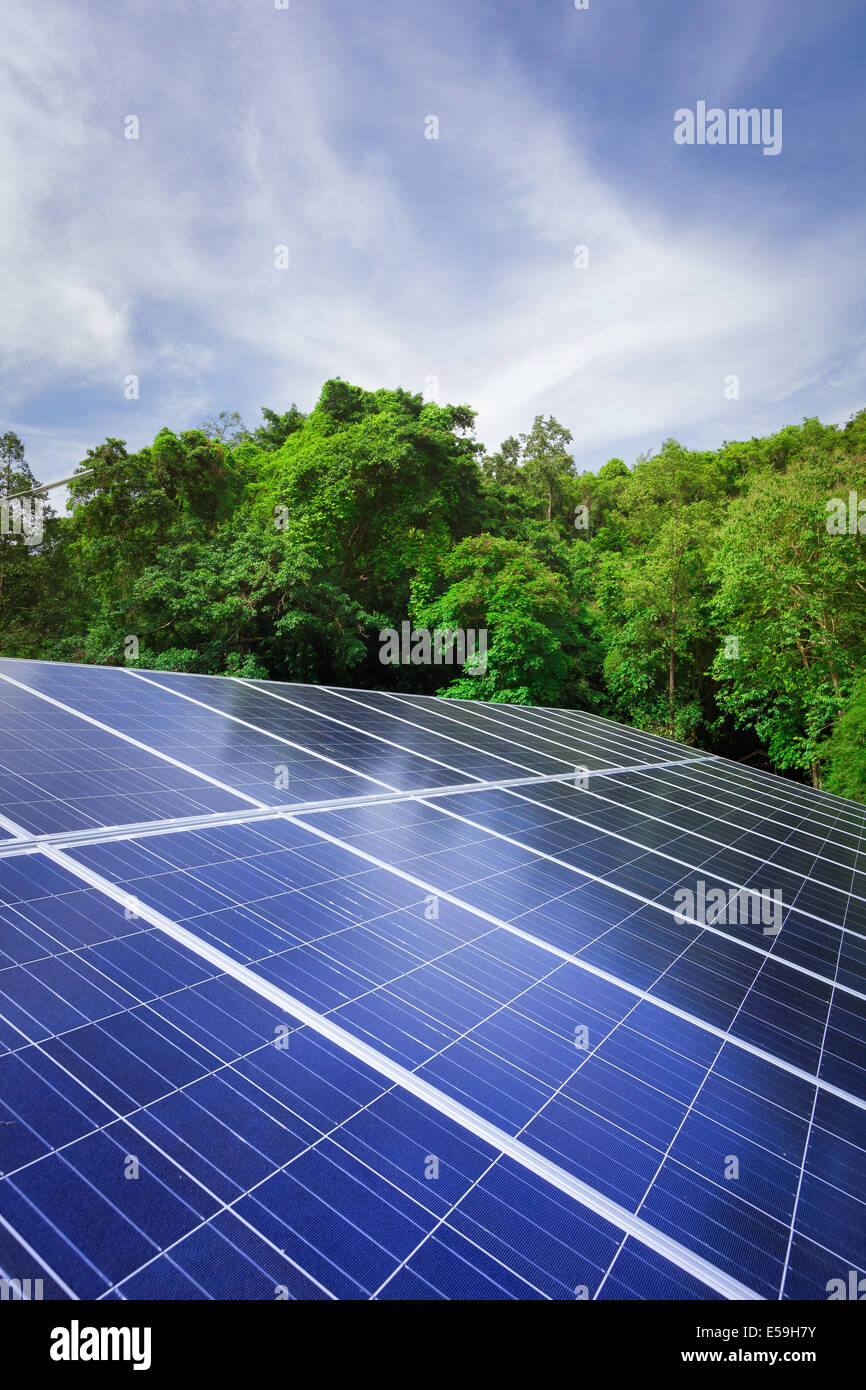 Panneaux de cellules solaires avec des arbres et ciel bleu nature plein air Banque D'Images