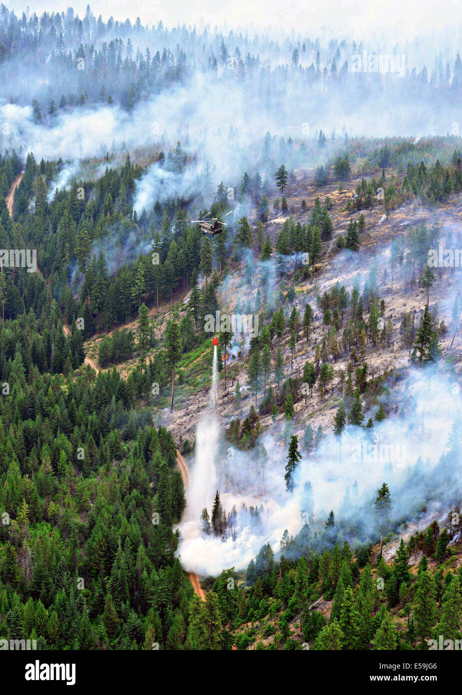 Vue aérienne de la Garde nationale de l'Oregon un hélicoptère CH-47 Chinook laissant tomber l'eau sur un feu à l'appui des efforts de répression à l'unité de coupe-feu le 20 juillet 2014, près de Madras, Oregon. Notice de friches ont déferlé sur les territoires du prétendant vit et détruire des milliers d'acres de forêt. Banque D'Images