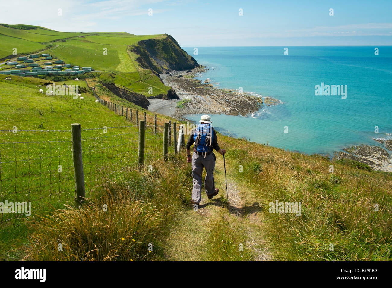 Un homme Walker sur le chemin à la côte du Pays de Galles Borth Ceredigion Pays de Galles UK Banque D'Images
