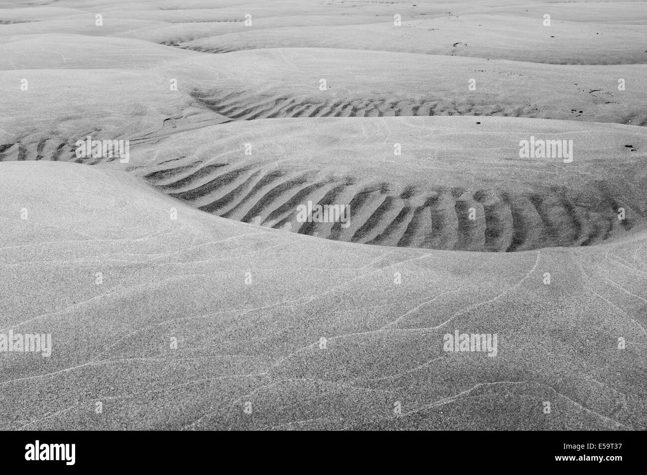 Des formes dans le sable Banque D'Images