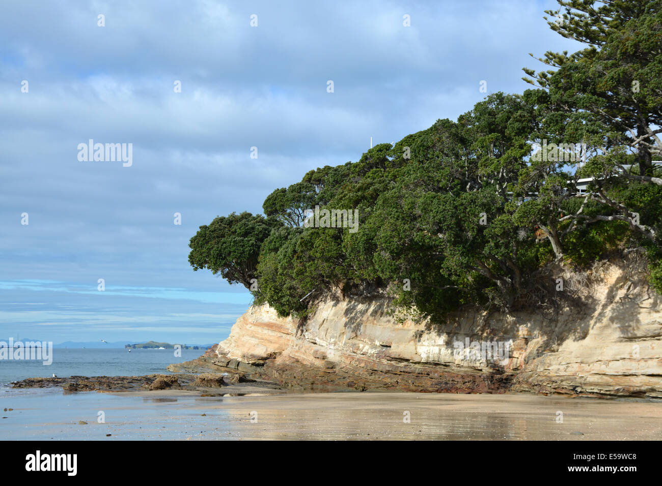 Petite falaise à l'extrémité sud de la plage de Takapuna, Auckland, Nouvelle-Zélande Banque D'Images