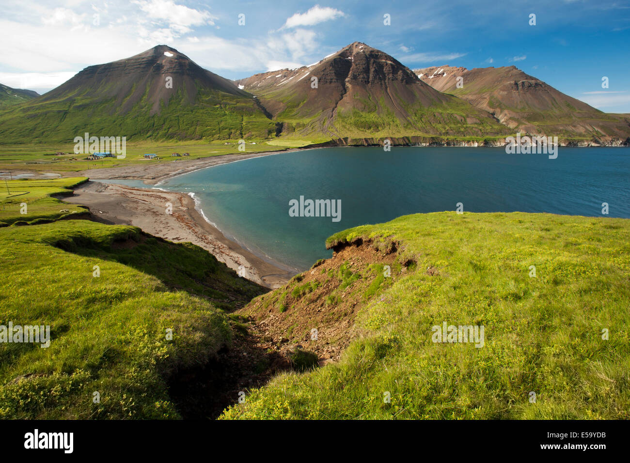 Près de la côte de Borgarfjordur Eystri - Bakkagerdi - est de l'Islande, Islande Banque D'Images