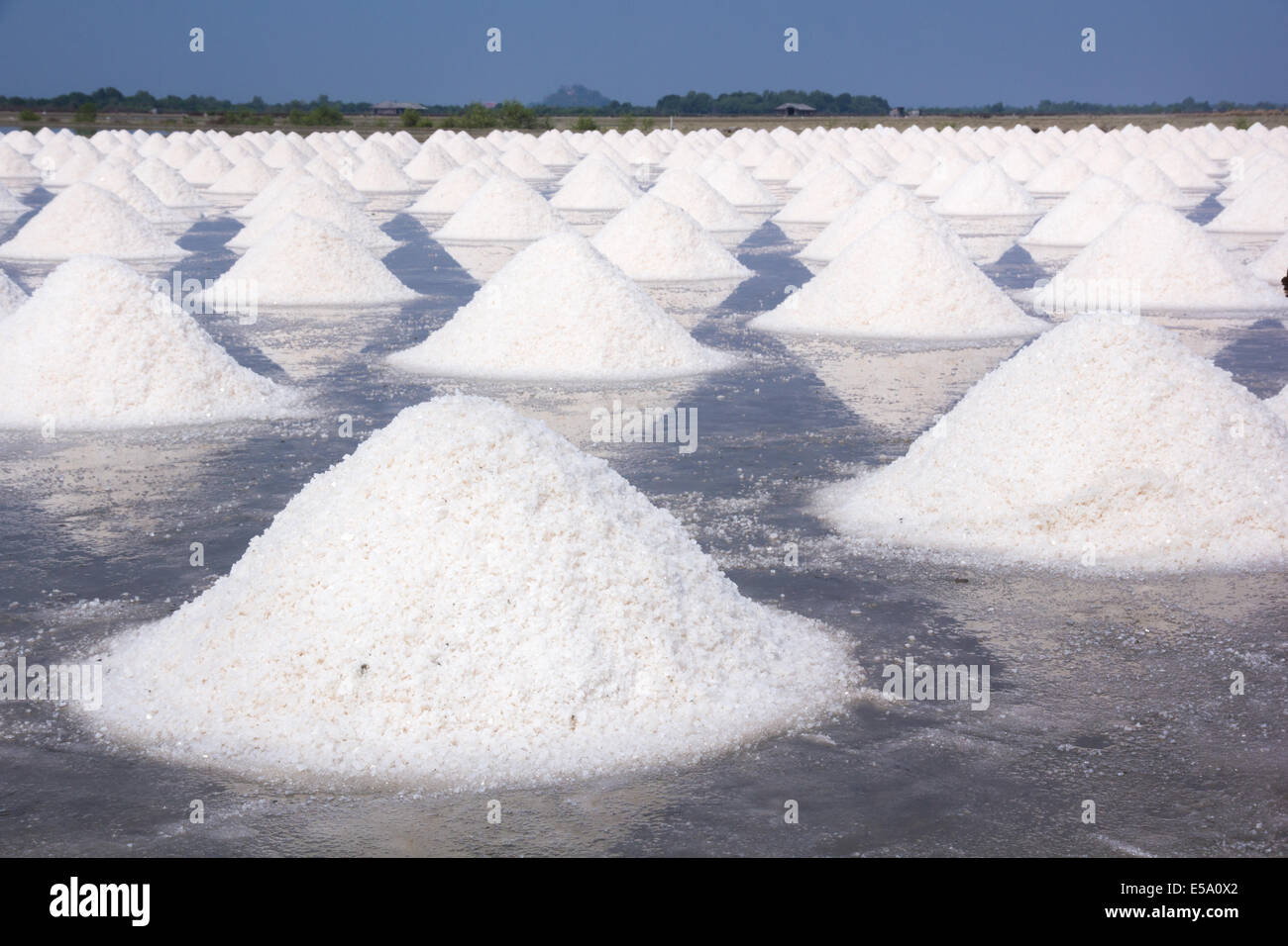 Tas de sel de mer dans un champ préparé pour la récolte en Thaïlande Banque D'Images