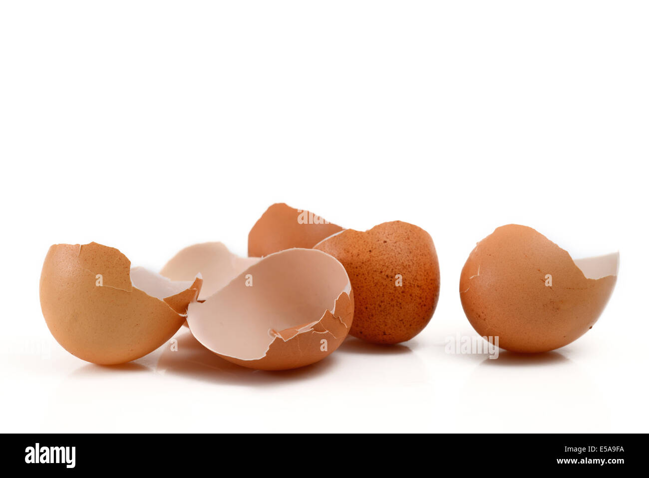 Coquilles de œufs Banque D'Images