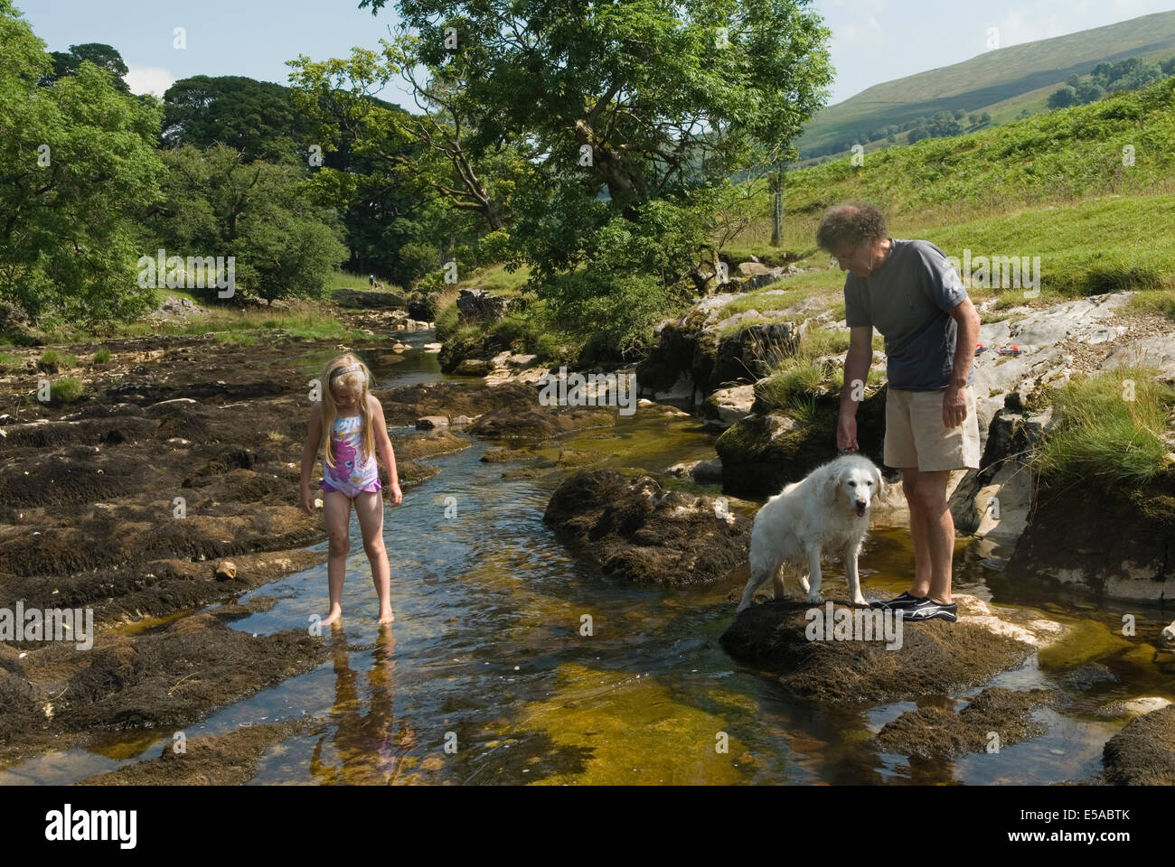 Rivière Wharfe au nord de Hubberholm. Parc national des Yorkshire Dales. Wharfedale. Langstrothdale Valley North Yorkshire. Angleterre Royaume-Uni années 2010 2014 HOMER SYKES Banque D'Images